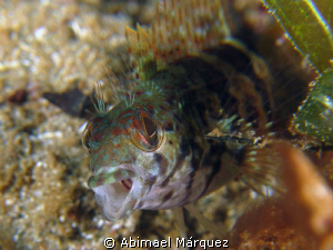 Ahhh, 3/4", Crash Boat, Aguadilla, PR. by Abimael Márquez 